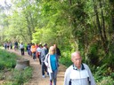 Caminhada da Liberdade - Caldas S.Jorge e Pigeiros - ​24/​04/2017